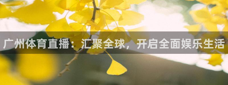 熊猫体育平台：广州体育直播：汇聚全球，开启全面娱乐生活