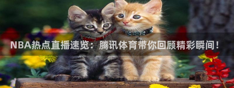 看直播熊猫：NBA热点直播速览：腾讯体育带你回顾精彩瞬间！
