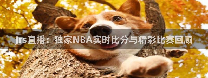 熊猫体育直播平台：Jrs直播：独家NBA实时比分与精彩比赛回顾