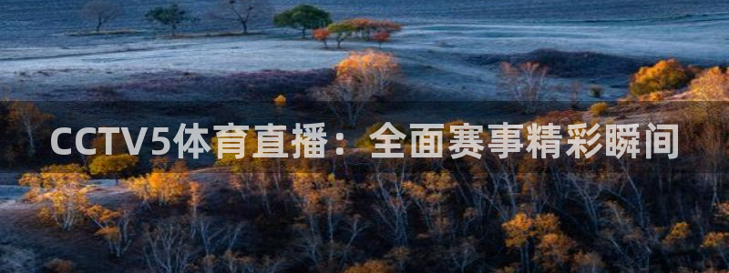 熊猫体育手机版下载：CCTV5体育直播：全面赛事精彩瞬间