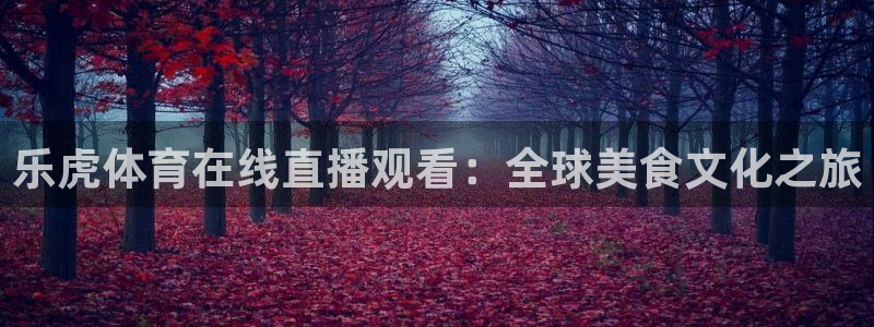 熊猫直播下载官网：乐虎体育在线直播观看：全球美食文化之旅
