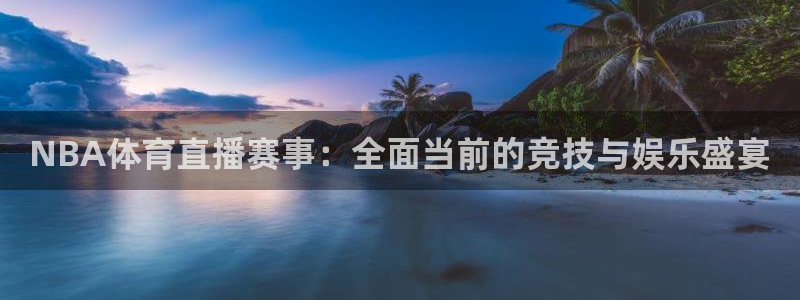 熊猫主播：NBA体育直播赛事：全面当前的竞技与娱乐盛宴