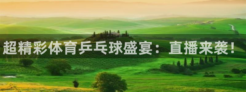熊猫体育直播新的好游戏.认证网.org：超精彩体育乒乓球盛宴：直播来袭！