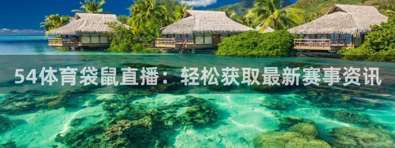 熊猫的歌曲：54体育袋鼠直播：轻松获取最新赛事资讯