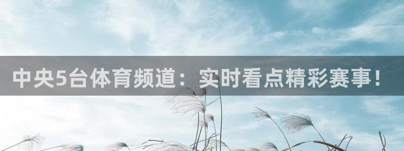 熊猫体育足球直播app：中央5台体育频道：实时看点精彩赛事！