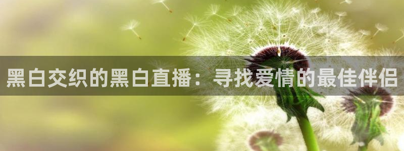 熊猫直播下载安装官方下载：黑白交织的黑白直播：寻找爱情的最佳伴侣