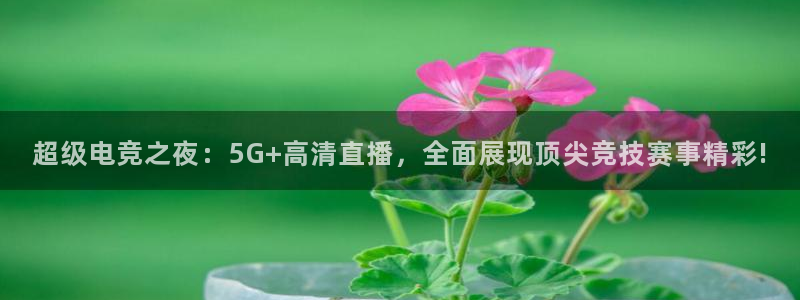 熊猫怎样直播：超级电竞之夜：5G+高清直播，全面展现顶尖竞技赛事精彩!