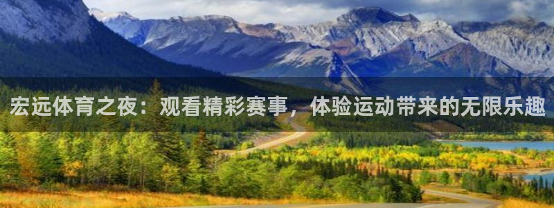 熊猫体育公园：宏远体育之夜：观看精彩赛事，体验运动带来的无限乐趣